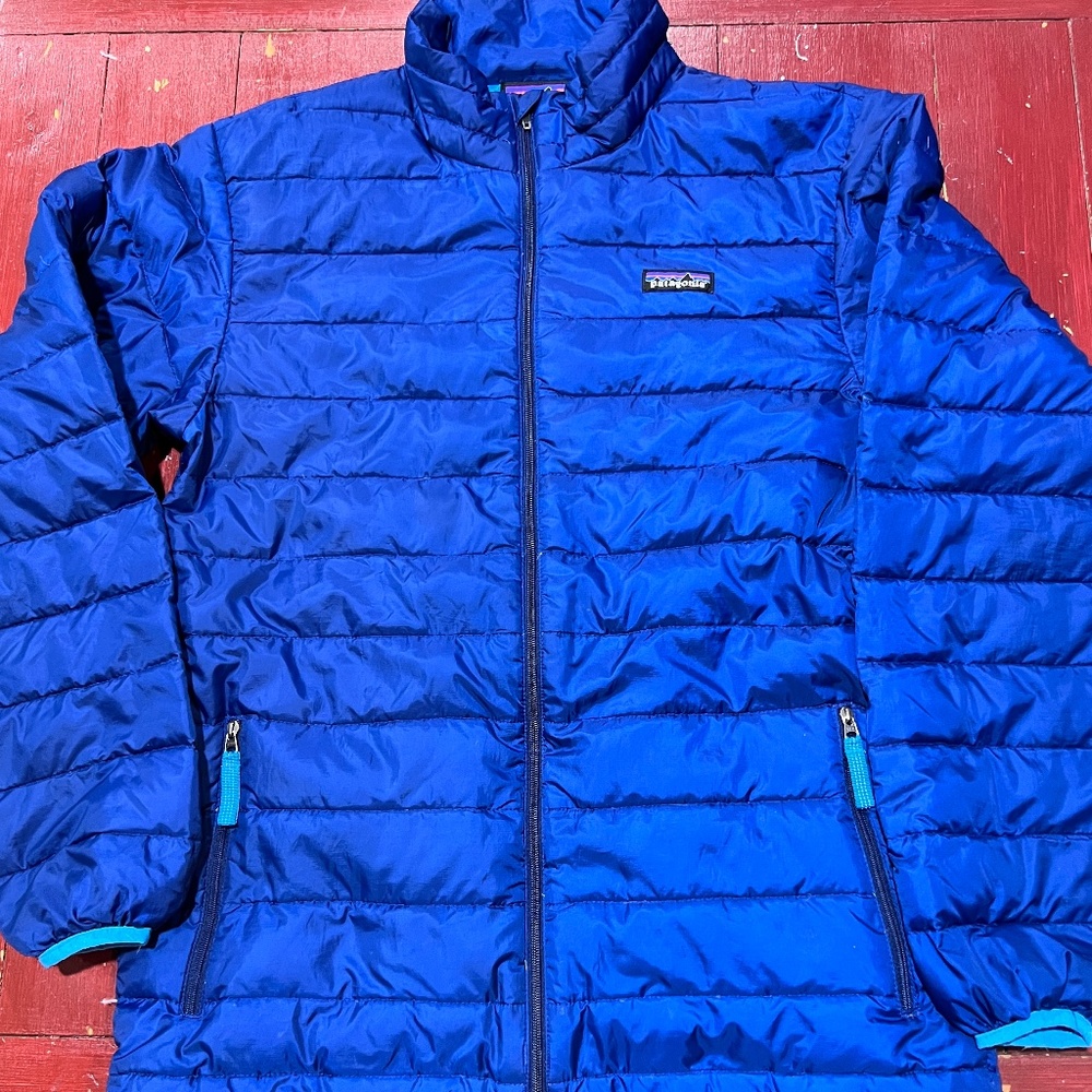 Patagonia Winter coat